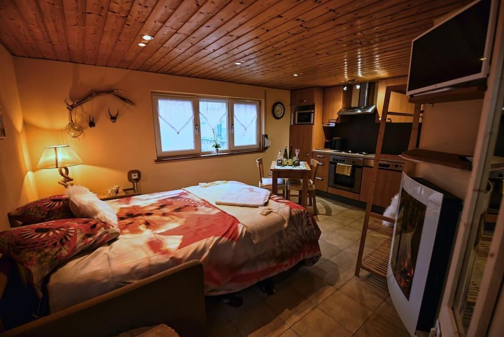 Апартаменти Les Chouchous Du Ried 3 / Proche Europapark Saasenheim Екстер'єр фото